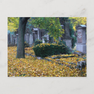 Zentralfriedhof Vykort