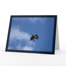 Zeroing in på fångstplatsen