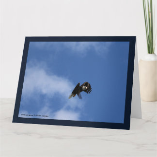 Zeroing in på fångstplatsen kort