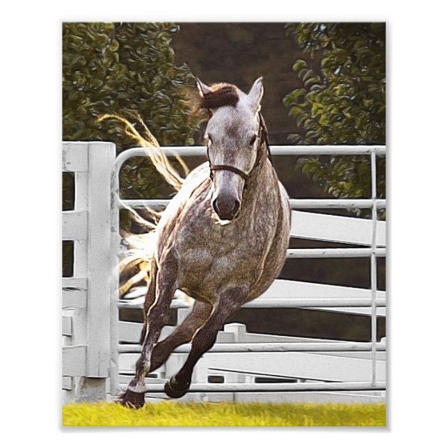 Zest for Life Fototryck (Framsidan)