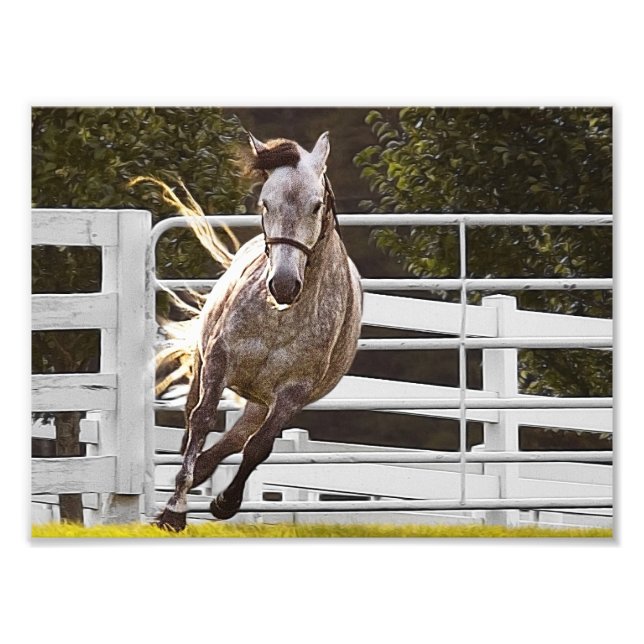 Zest for Life Fototryck (Framsidan)