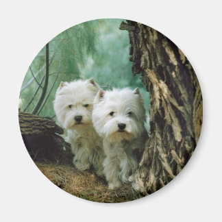 Zest och Donna (Mor och Dotter, ta 2) Magnet