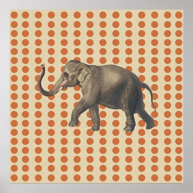 Zest Spice Moods Dots med Elephant Poster (Framsidan)