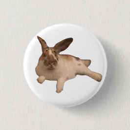 Zety Paddy Badge Knapp