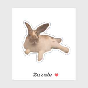 Zety Paddy Sticker Klistermärken