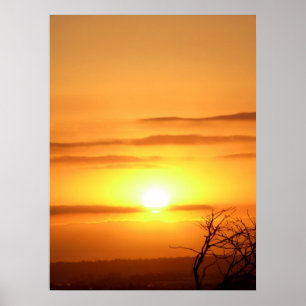 Zety SOL Poster