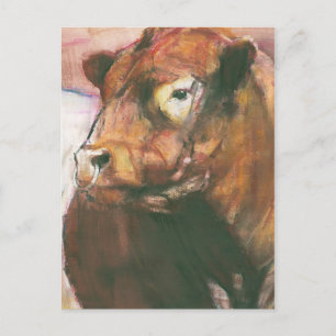 Zeus Red Belted Galloway Bull 2006 2 Vykort