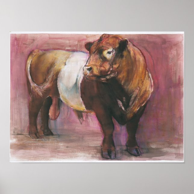 Zeus Red Belted Galloway Bull 2006 Poster (Framsidan)
