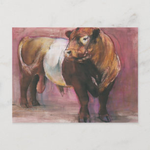 Zeus Red Belted Galloway Bull 2006 Vykort
