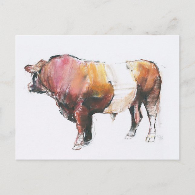 Zeus Vykort (Framsida)