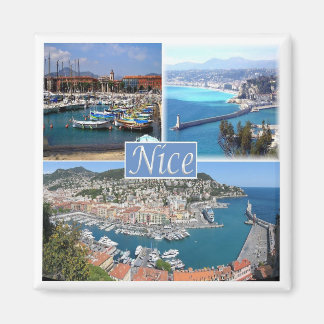 zFR044 NICE, Provence, Frankrike, Fridge Magnet