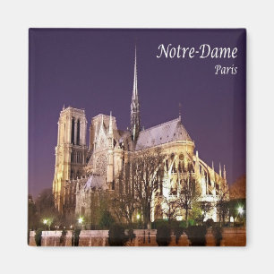 zFR055 NOTRE-DAME, Paris, Frankrike, Fridge Magnet
