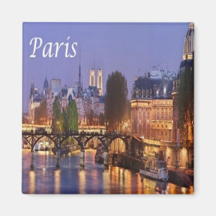 zFR065 PARIS panorama, Frankrike, Fridge Magnet