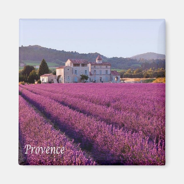 zFR149 PROVENCE, Frankrike, Fridge Magnet (Framsidan)
