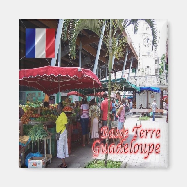 zGP007 GUADELOUPE, Basse-Terre, Fridge Magnet (Framsidan)