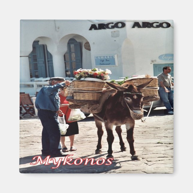 zGR119 MYKONOS Donkey, Grekland, Fridge Magnet (Framsidan)