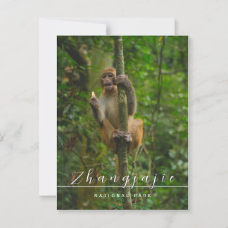 Zhangjajie nationalparksvykort vykort