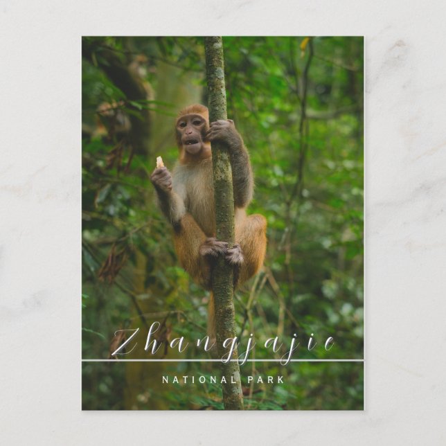 Zhangjajie nationalparksvykort vykort (Framsida)