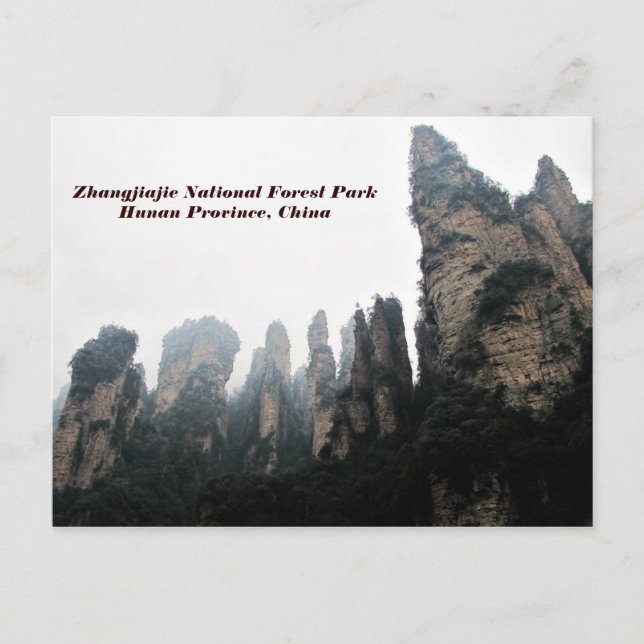 Zhangjiajie National Forest Park, Hunan China Vykort (Framsida)