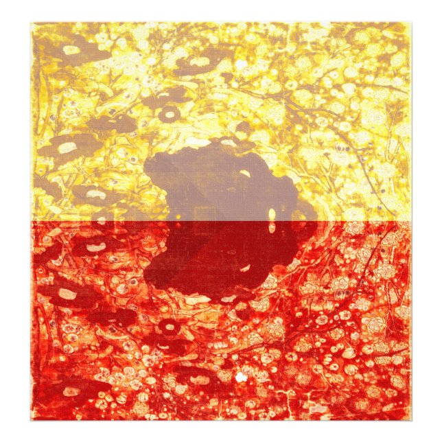 Zhao Chang - Bild under det nya året (modifierat) Fototryck (Framsidan)