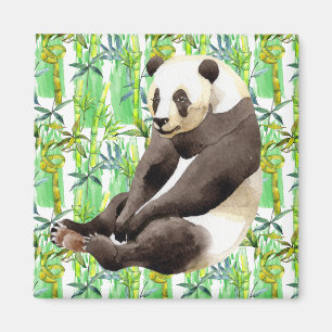 Zhen Zhen pandan på bambu Magnet