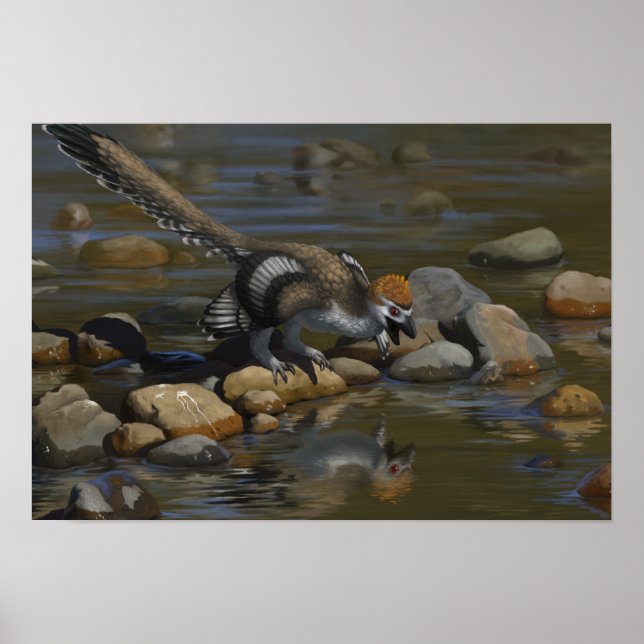 Zhenyuanlong Poster (Framsidan)