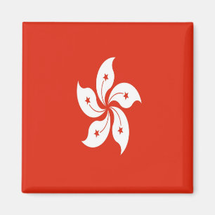 zHK001 FLAGGA Hongkong, Fridge Magnet