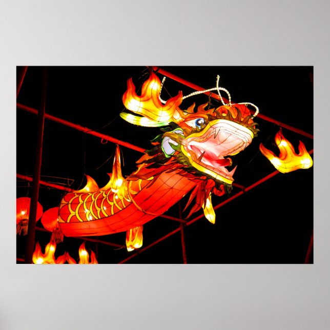 Zhulong elddrake  poster (Framsidan)