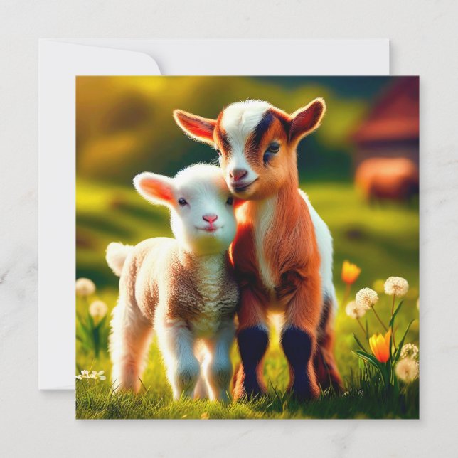 Zicklein Julkort (Framsida)