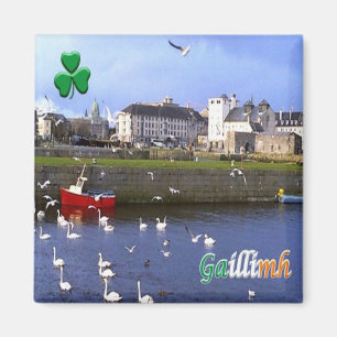 zIE005 GALWAY GAILLIMH, Irland, Fridge Magnet