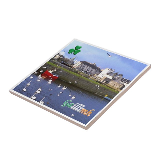 zIE005 GALWAY GAILLIMH, Irland Kakelplatta (Sidan)