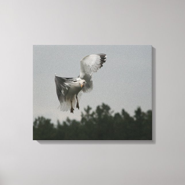 Zig Zag-Kanvastryck Canvastryck (Framsida)