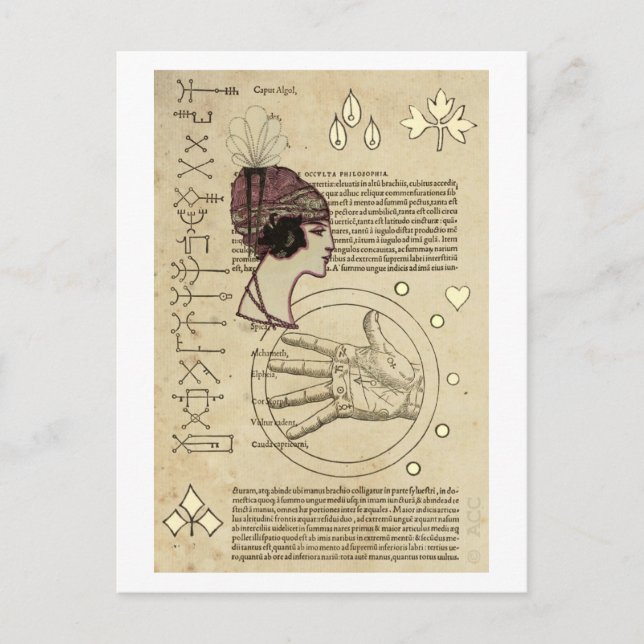 Zigenerskt spådam vykort (Framsida)