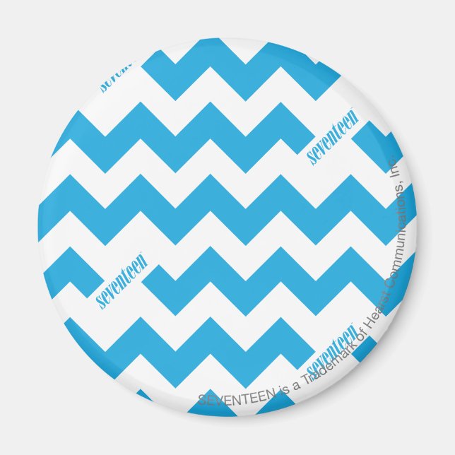 ZigZag Aqua Magnet (Framsidan)