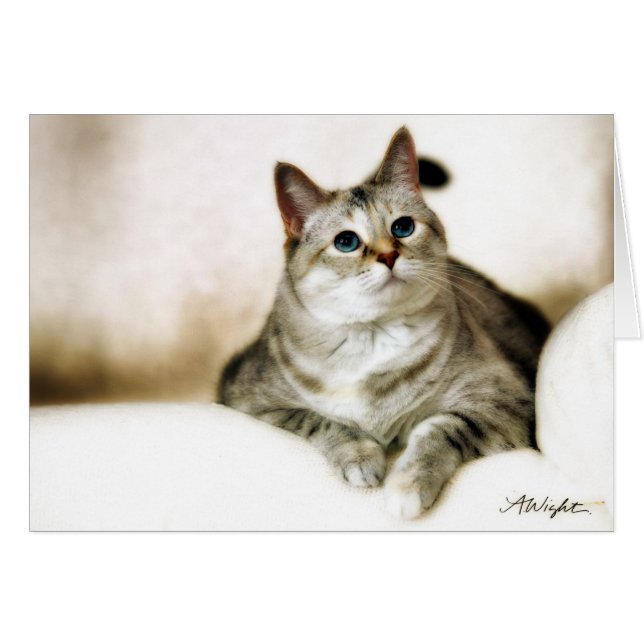 Zilla i brunt tonar hälsningskort (Framsidan Horizontal)