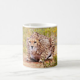 Zimbabwe cheetah Coffee Mugg