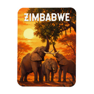 Zimbabwe Illustration Resa Konst Vintage Magnet