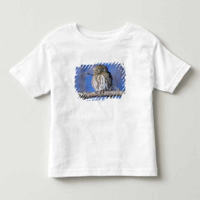 Zimbabwe. Närbild på pärlfläckad uggla T Shirt (Framsida)