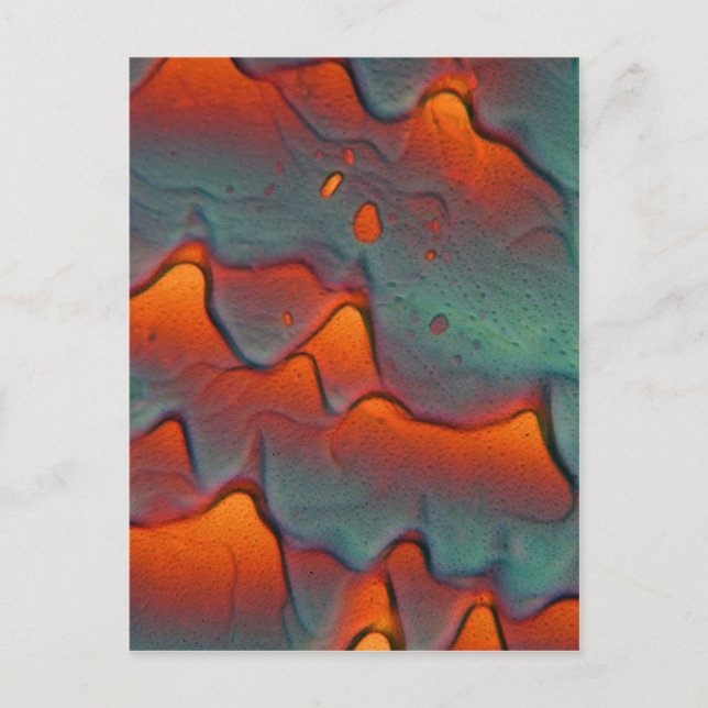 Zinkacetatkristaller i mikroskop vykort (Framsida)