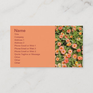 Zinnia-Affärskort Visitkort