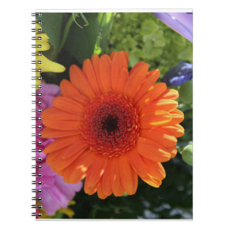 Zinnia Anteckningsbok
