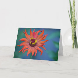 Zinnia-anteckningskort Kort