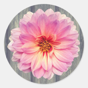 Zinnia blomma med Rosa Grått Wood Runt Klistermärke