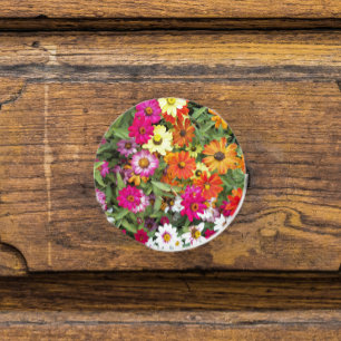Zinnia-Blomsterträdgårdens Blommigt Knopp