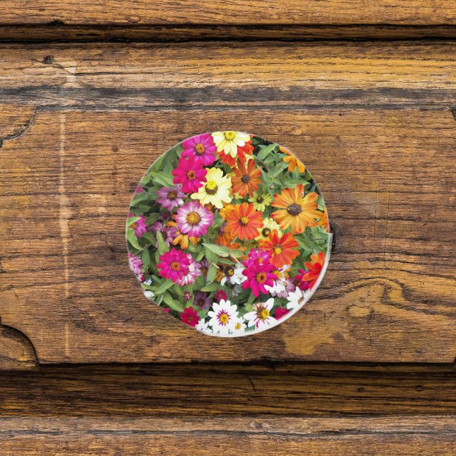 Zinnia-Blomsterträdgårdens Blommigt Knopp (In Situ)