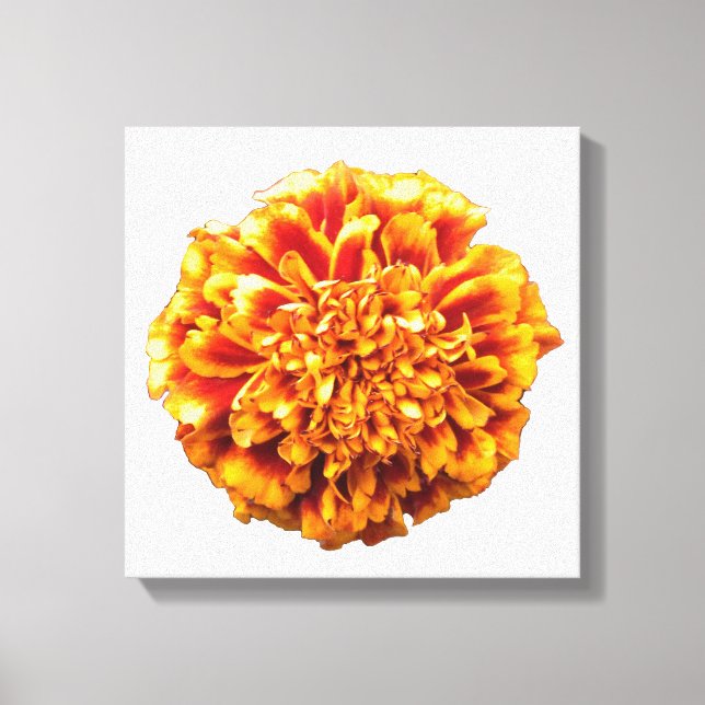 Zinnia Canvastryck (Framsida)