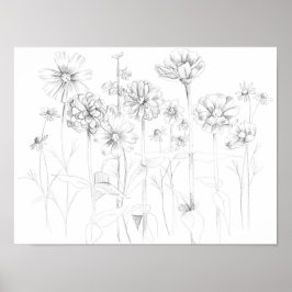 Zinnia Cosmos Flowers Pencil Teckning Botaniska Poster