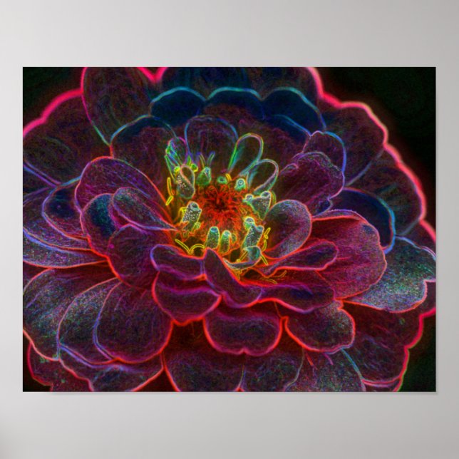 Zinnia Fantasy Abstrakt Flower Art Poster (Framsidan)