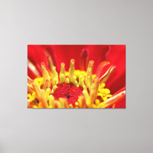 Zinnia Flower Heart Canvastryck