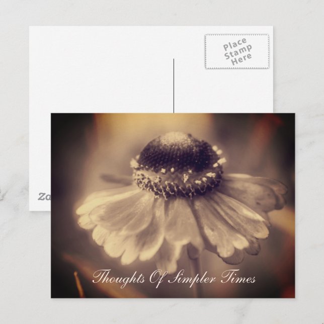 Zinnia Flower Simpler Times - inspiration Vykort (Fram/baksida)